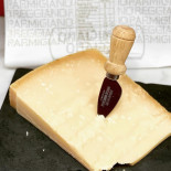 Tipiocaria Boisson