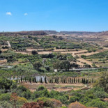Cornucopia Exterior