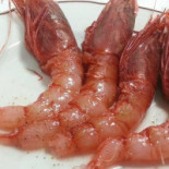 Fish Fixe Comida