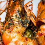 Leve Leve Tapas Comida