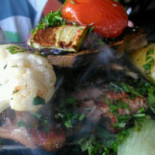 Shark Comida