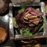 Shark Comida