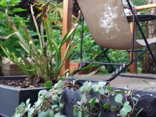 Lanchonete Akilanches
