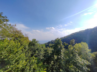 Open