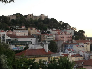 Flor Do Monte