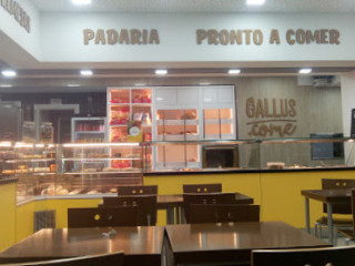 Gallus.come