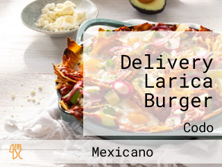 Delivery Larica Burger