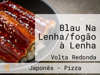 Blau Na Lenha/fogão à Lenha