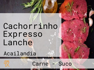 Cachorrinho Expresso Lanche