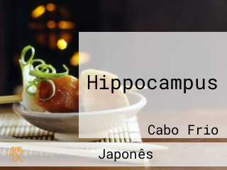 Hippocampus