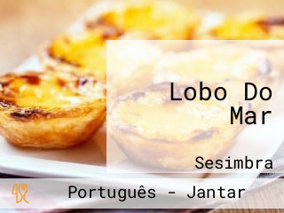 Lobo Do Mar