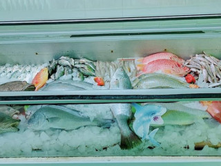 أسماك وبحريات القرش Shark Seafood