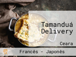 Tamanduá Delivery