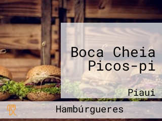 Boca Cheia Picos-pi