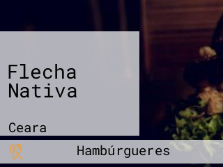 Flecha Nativa