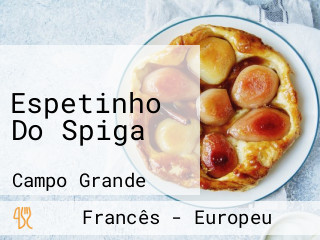 Espetinho Do Spiga