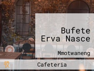 Bufete Erva Nasce