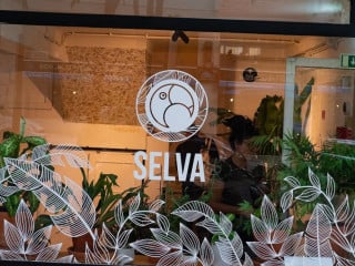 Selva