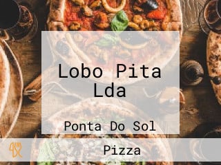 Lobo Pita Lda