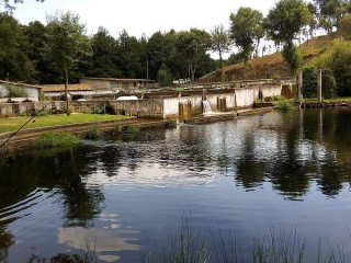 Truchalcoa