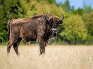Zoopark Chomutov