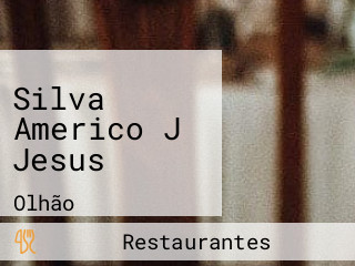 Silva Americo J Jesus