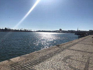 Teca De Sardinha