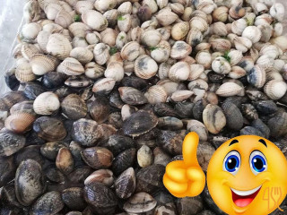 Marisqueira Da Jú