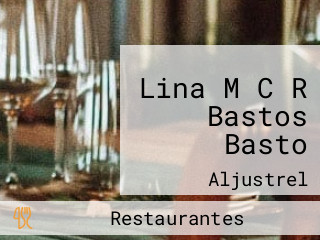 Lina M C R Bastos Basto