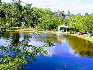 Tapiocas Do Guigui